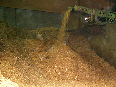 �Ō`�R��(RPF)